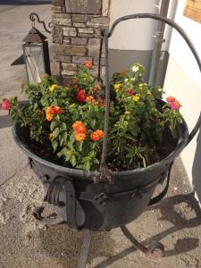 a planter filled with flowers on the side of a building at Hotel Aquamarin in Bad Mitterndorf
