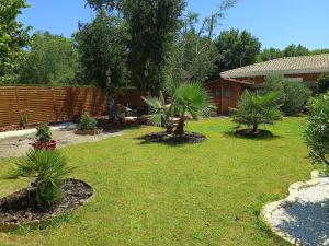 a yard with three palm trees and a fence at lilou in Biganos