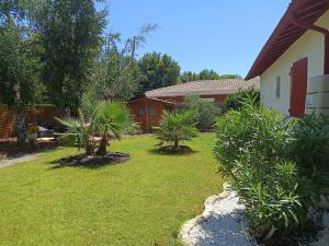 a yard with two palm trees and a house at lilou in Biganos +8 photos