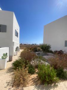 a white building with plants in front of it at Poema Antiparos in Antiparos