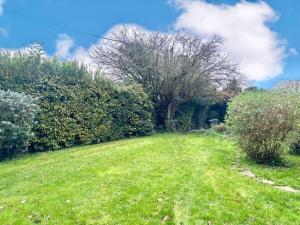 Κήπος έξω από το Rinsey Cottage +21 φωτογραφίες