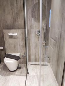 baño con ducha, aseo y puerta de cristal en Aggeliki Apartment, en Skiathos