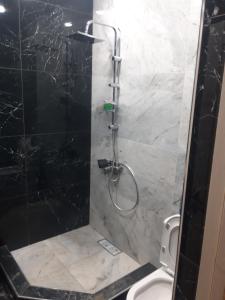a bathroom with a shower and a toilet in it at Arm Garden in Aghk'ilisa