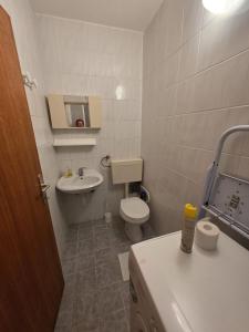 Un baño de Apartment Borna Pag 6 fotos más