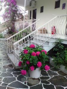 a white stair case with pink flowers in a pot at Avra Ηouse in Kriopigi