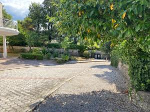 Zahrada ubytování Apartments Villa Majda