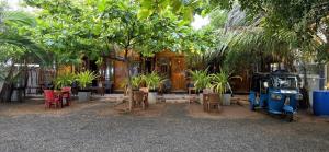 Taman di luar Elvis Beach Resort