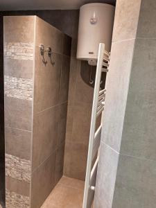 ein Bad mit einer Dusche mit einer Leiter in der Unterkunft Apartmani Ana S in Vrnjačka Banja