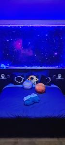 a bed in a room with a fish tank at La Moustache Bleue in Bouin