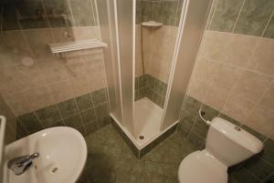 a bathroom with a white toilet and a shower at Penzion Lipno Jantar in Horní Planá