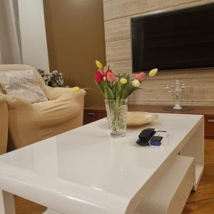 ポヴリャナにあるSuperior apartment Ninaのギャラリーの写真