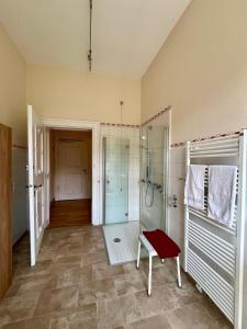 a bathroom with a walk in shower and a glass shower stall at Schloss Elmischwang in Fischach +50 photos