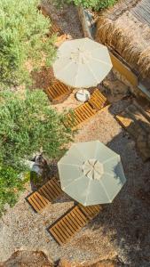 Сад в La Moda Beach Hotel