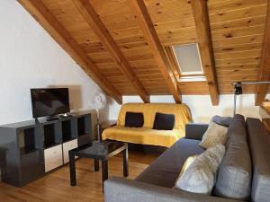 een woonkamer met een bank en een televisie bij BPirineos-La Tea in Benasque