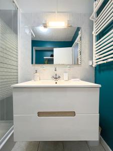 a bathroom with a white sink and a mirror at Le refuge du pont in Imphy