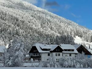 Hotel Landhaus Lungau v zime