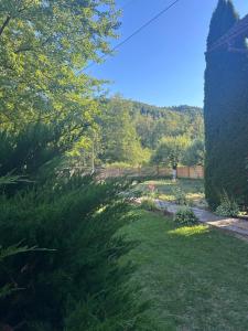 a garden with green grass and trees and a pathway at Insieme in Vidra