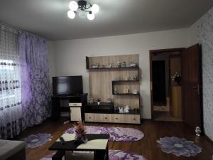 a living room with a cat sitting on a table at Apartament Sarah in Oţelu Roşu