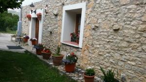 Ogród w obiekcie Casa Rural Fuentetrigo