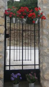 Ogród w obiekcie Casa Rural Fuentetrigo