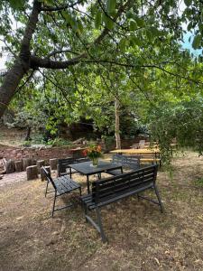 a picnic table and benches under a tree at Templomdomb apartman in Kővágóörs +6 photos