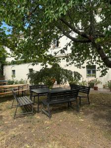 a picnic table and two benches under a tree at Stúdió apartman in Kővágóörs
