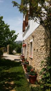 kamienny budynek z doniczkami na boku w obiekcie Casa Rural Fuentetrigo w mieście Brizuela