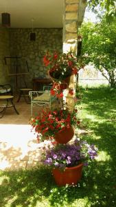 Ogród w obiekcie Casa Rural Fuentetrigo