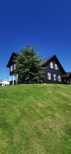 a black house on a grassy hill with a tree at Kylstad Bed and Breakfast in Kylstad +16 photos