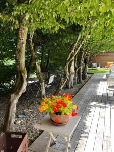 a pot of flowers sitting on a table under trees at Hostellerie du Peiffeschof, The Originals Relais in Arlon