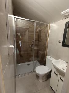 a bathroom with a shower and a toilet and a sink at Domki Bieszczadzki Czar Rodzinny 661-850-410 in Polańczyk +32 photos