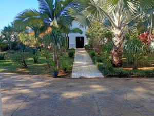 un camino en un jardín con palmeras y un edificio en CEDE Inn Hotel, en Encarnación 19 fotos más