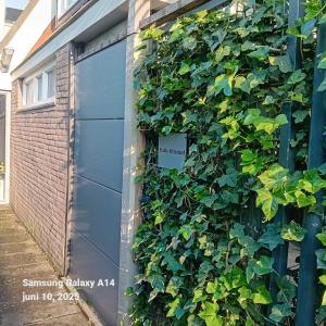 Imagen de la galería de Studio Waterland, en Ooltgensplaat