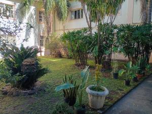 Jardín al aire libre en CEDE Inn Hotel