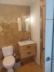 a bathroom with a toilet and a sink and a mirror at T2 duplex 8kms des plages in Martigues +5 photos