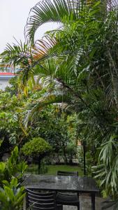En hage utenfor Hotel Guru