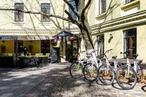 Jízda na kole v ubytování DREAM Hostel Kyiv nebo okolí