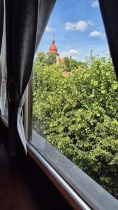 Сад в Hotel Radnice Dobrovice