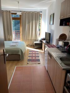 Postel nebo postele na pokoji v ubytování Студио 36 - Семирамида, Боровец