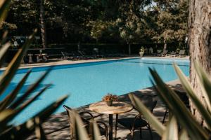 Πισίνα στο ή κοντά στο Badhotel Rockanje