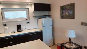 Dapur atau dapur kecil di Apartment Svoboda