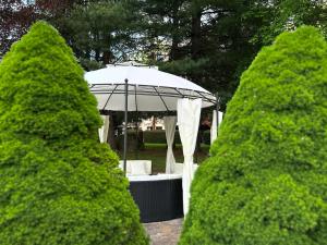 an umbrella in the middle of two trees at Hotel Les Vallées Labellemontagne in La Bresse +11 photos