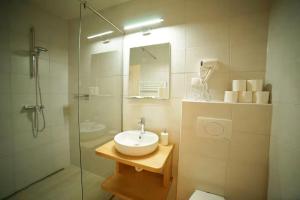 a bathroom with a sink and a glass shower at Sobe Proštija in Ptuj