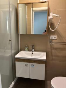 Vannituba majutusasutuses Privatzimmer Jarosch