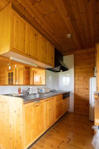 Kuchyň nebo kuchyňský kout v ubytování パウダー小屋