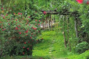 Zahrada ubytování Homestay Villa White House + 1 fotografie