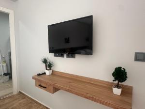 TV de pantalla plana colgada en una pared con 2 plantas en Avka Palace, en Edirne