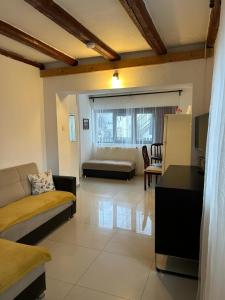 ブシュテニにあるCasa Antonia Busteniのソファとテーブルのあるリビングルーム