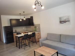 Una sala de estar con un sofá y una mesa y una cocina. en Exclusive Apartment - blisko Dworca, darmowy parking przy ulicy, późne wymeldowanie, Wi-Fi, en Opole