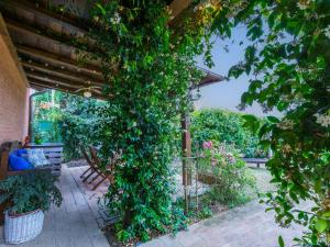 Zahrada ubytování Holiday Home Caggiolo by Interhome